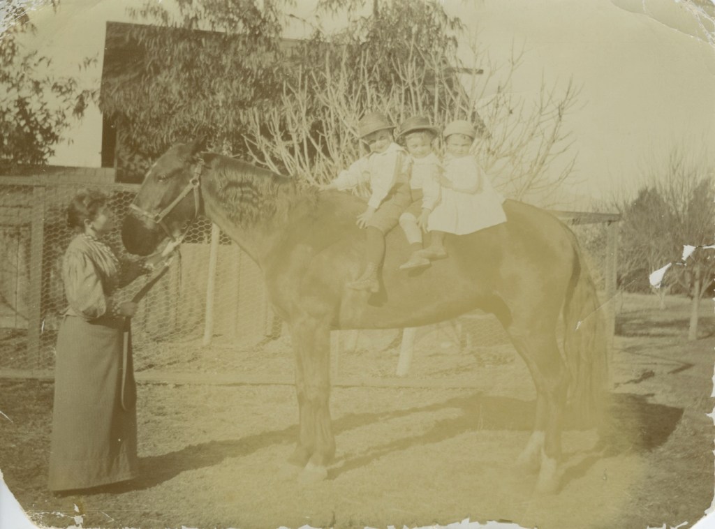 Climb aboard, kiddies